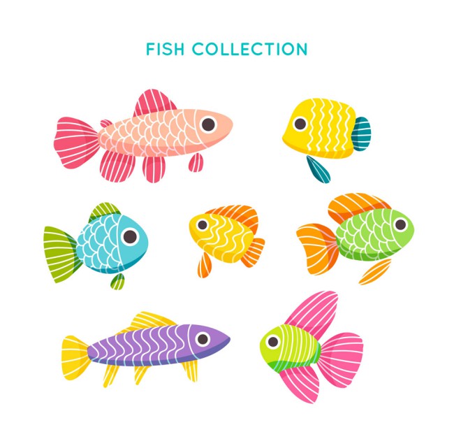 7款彩色花纹鱼类设计矢量素材普贤居素材网精选