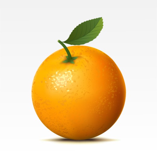 美味橙子矢量素材普贤居素材网精选