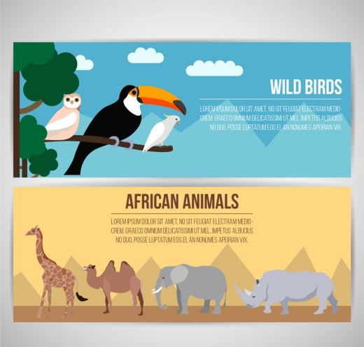 2款创意野生鸟类和非洲动物banner矢量素材16素材网精选