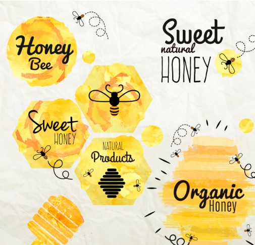 6款水彩蜂蜜标签矢量图16图库网精选