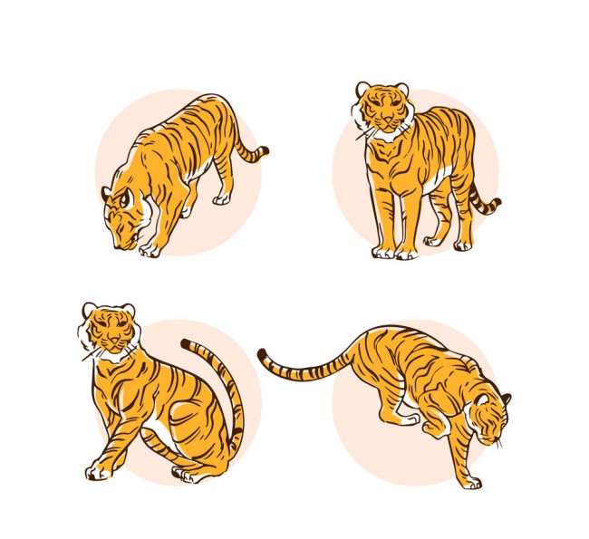 4款手绘老虎设计矢量素材16图库网精选