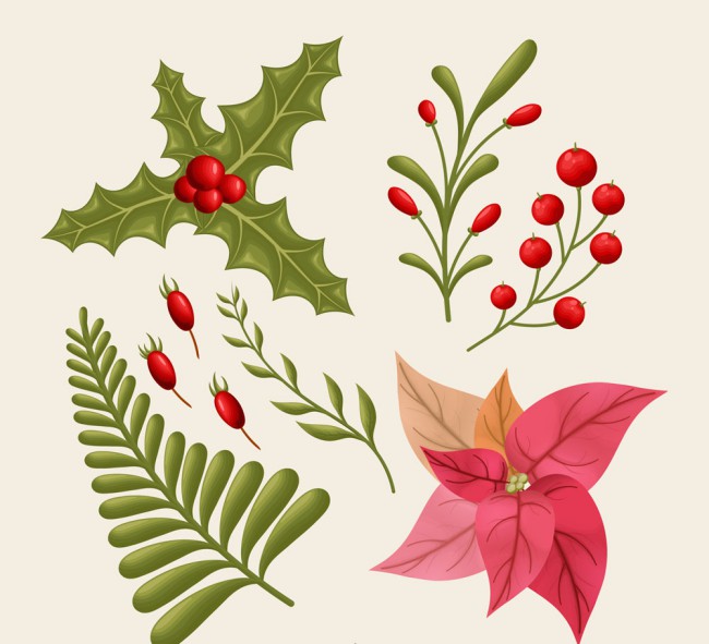 9款彩色圣诞节植物矢量素材16图库网精选