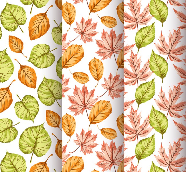 3款彩色秋季树叶无缝背景设计矢量图16图库网精选