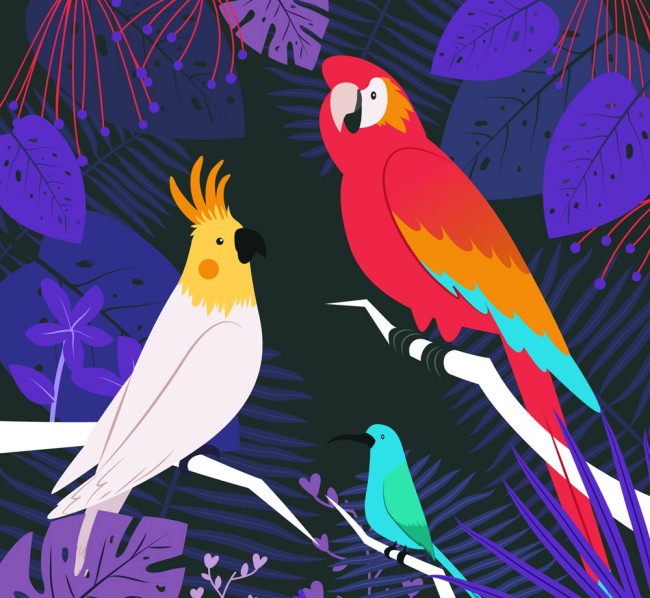 彩色热带树林鸟类矢量素材16素材网精选