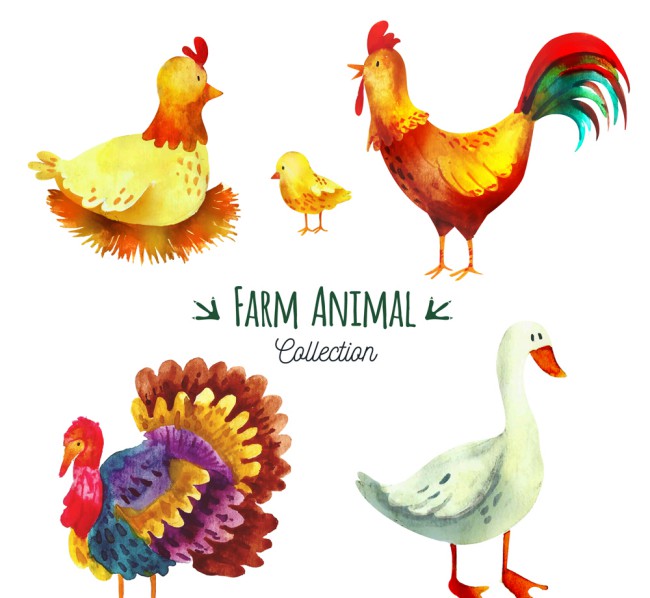 5款彩绘农场动物矢量素材16素材网精选
