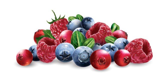 新鲜水果果粒矢量素材16图库网精选