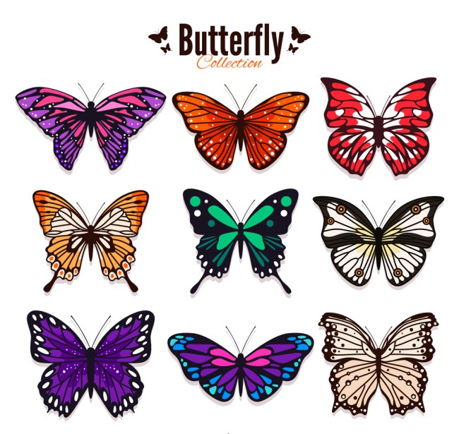 9款彩色蝴蝶设计矢量素材16图库网精选