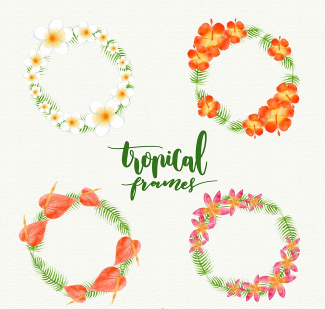 4款彩色热带花卉花环矢量素材16设计网精选