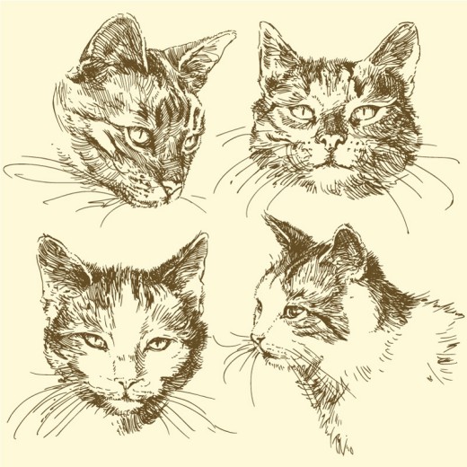 4款手绘猫头矢量素材16图库网精选