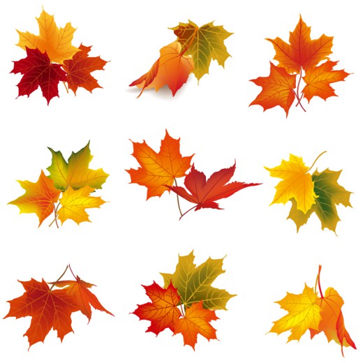 9款秋季树叶设计矢量素材素材天下
