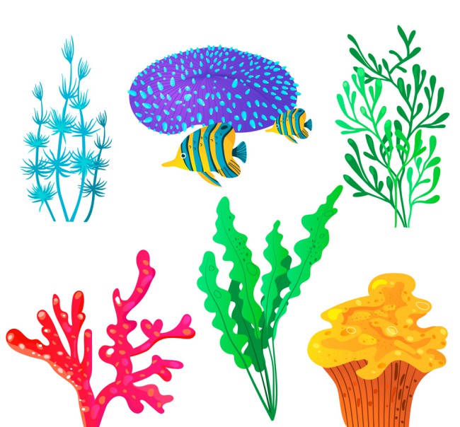 6款彩色珊瑚设计矢量素材普贤居素材网精选