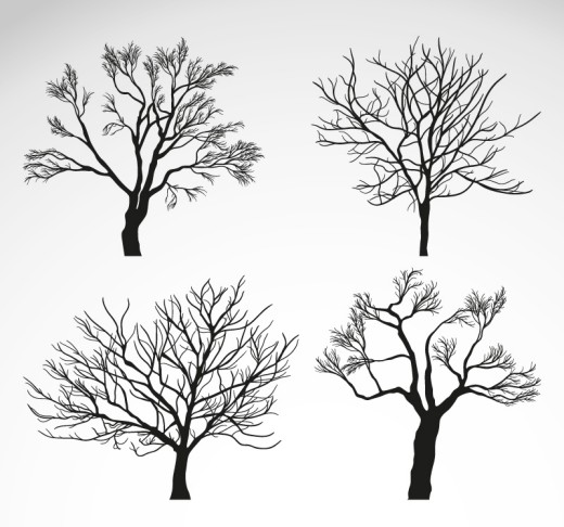 4款冬季树木矢量素材普贤居素材网精选