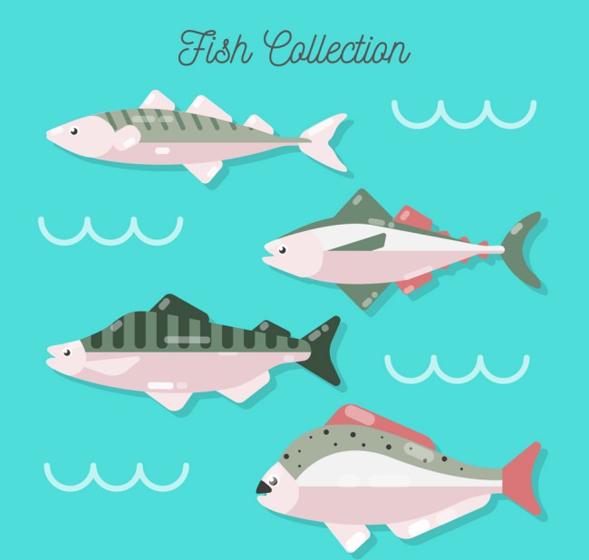 4款质感鱼类侧面设计矢量图素材中国网精选