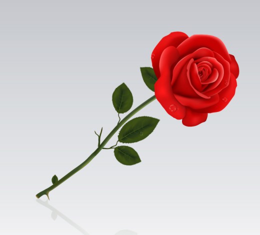单只红色玫瑰花矢量素材16素材网精选