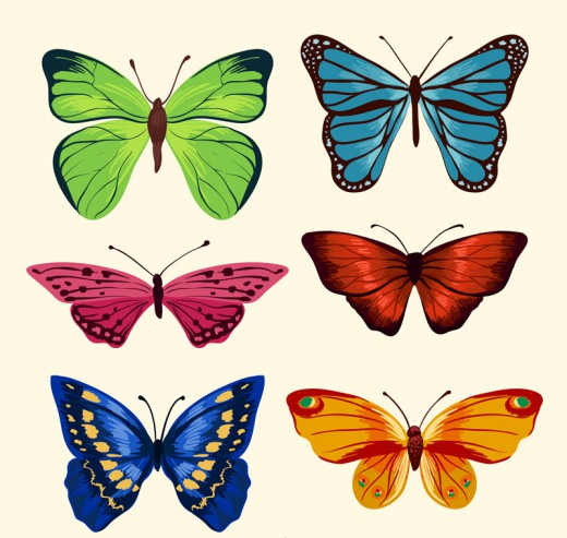 6款精美蝴蝶设计矢量素材16图库网精选
