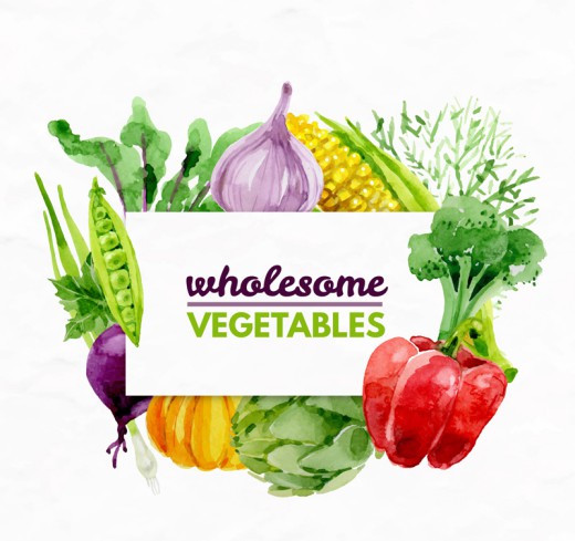 多种水彩绘健康蔬菜矢量素材普贤居素材网精选