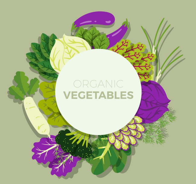 彩色有机蔬菜框架矢量素材16素材网精选