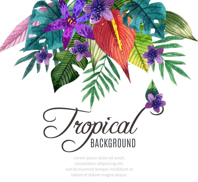 美丽彩绘热带花草矢量素材16设计网精选