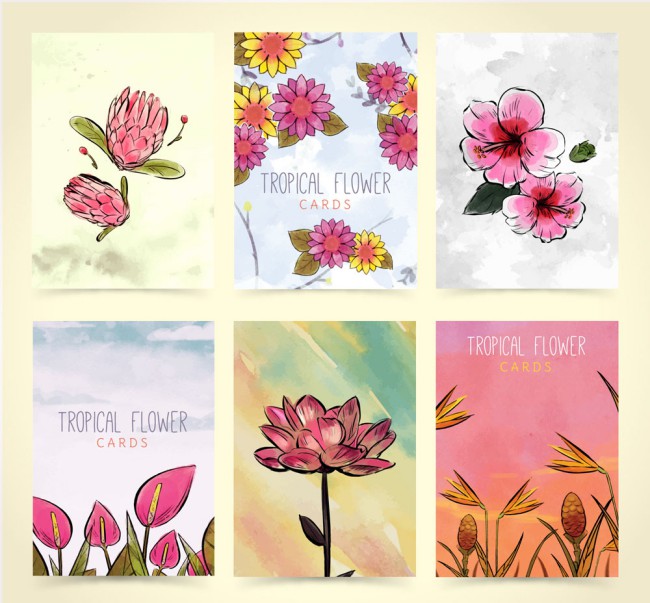 6款手绘热带花卉卡片矢量素材16素材网精选
