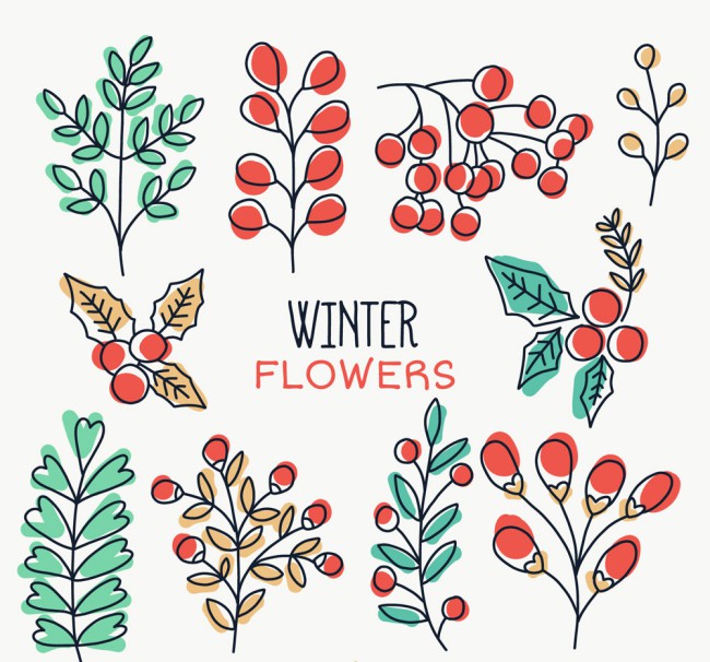 10款彩绘冬季植物矢量图16设计网精选
