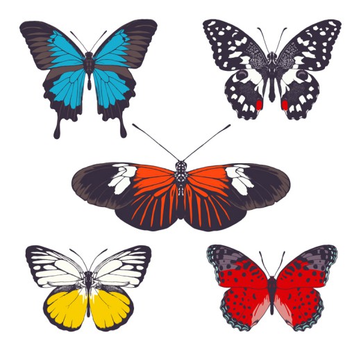 5款美丽蝴蝶设计矢量素材16图库网精选