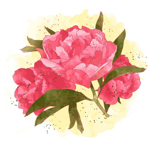 彩绘粉色牡丹花矢量素材16素材网精选