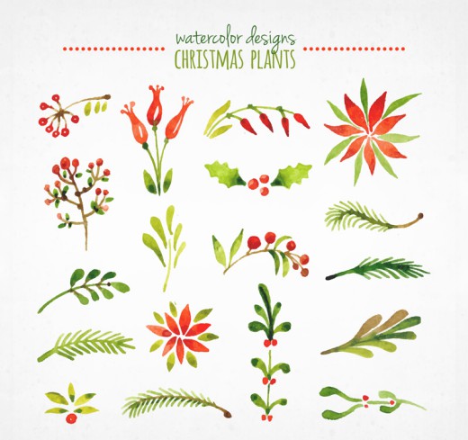 18款水彩圣诞植物矢量素材16图库网精选