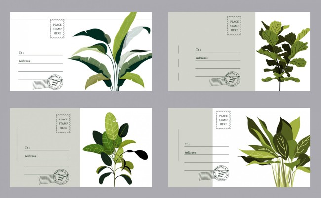 4款绿色植物明信片设计矢量图普贤