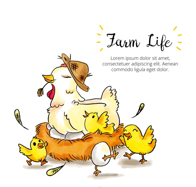 彩绘农场鸡窝里的母鸡和鸡仔矢量图素材中国网精选