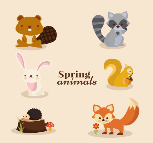 6款卡通春季小动物矢量素材16图库网精选