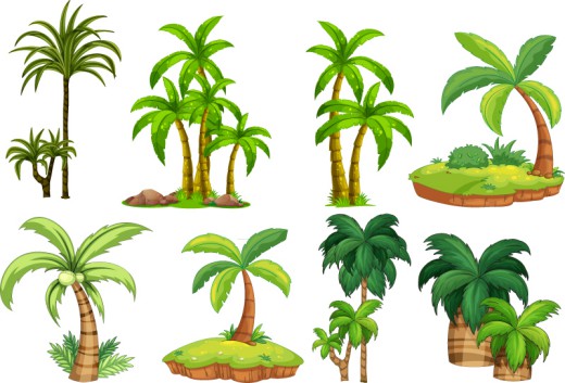 8款绿色椰子树设计矢量素材普贤居素材网精选