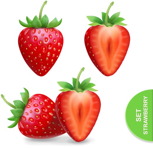 3款新鲜红草莓和切面矢量素材16图库网精选
