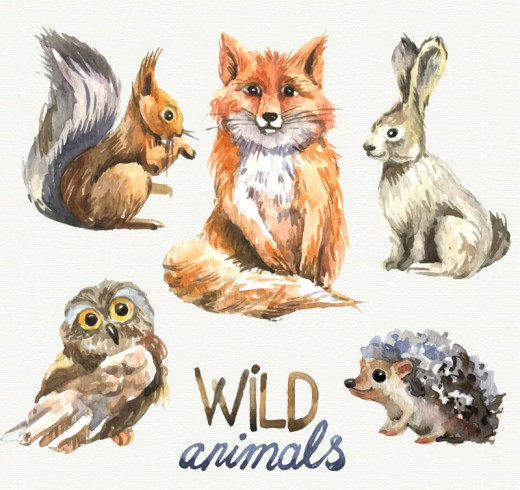 5款水彩绘野生动物矢量素材16图库网精选