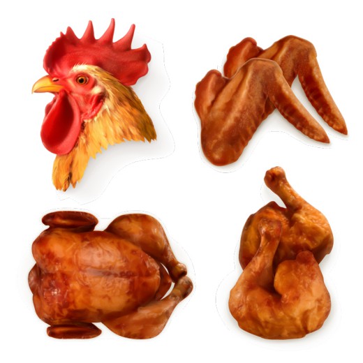 4款精美公鸡鸡头和烤鸡矢量素材16图库网精选