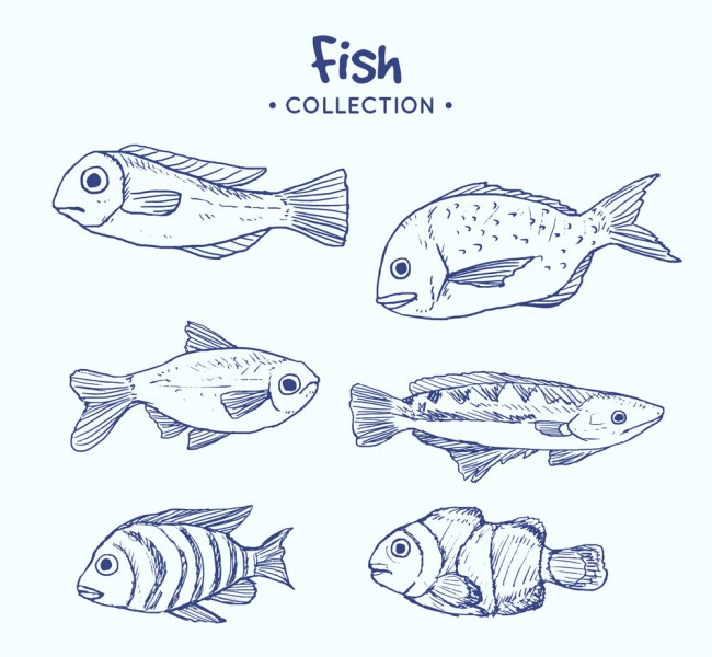6款蓝色手绘海洋鱼类矢量素材16图库网精选
