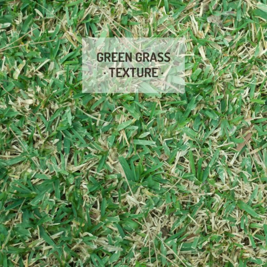 绿色逼真草地背景矢量素材16素材网精选