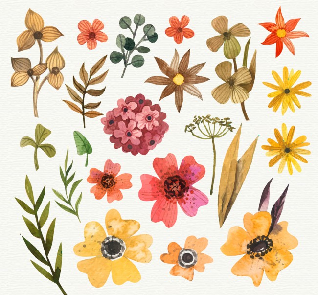22款水彩绘花卉和叶子矢量图16图库网精选