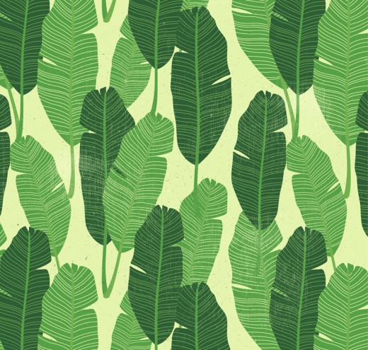 绿色羽毛状树叶无缝背景矢量图16设计网精选