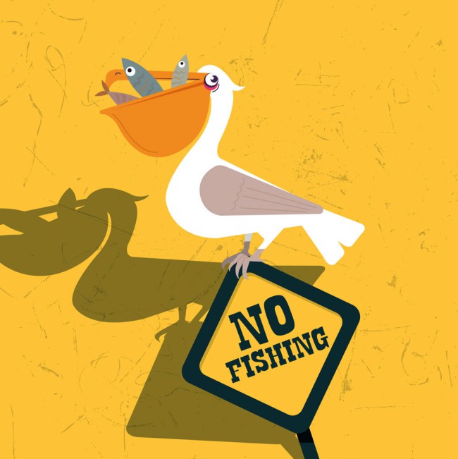 创意禁渔警示牌上的鹈鹕矢量图普贤