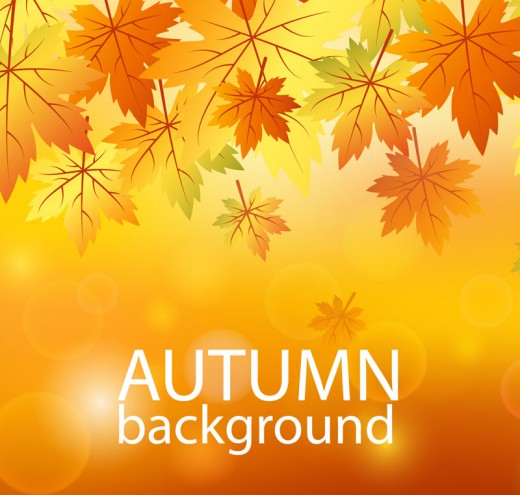 橙色秋季树叶矢量素材16设计网精选
