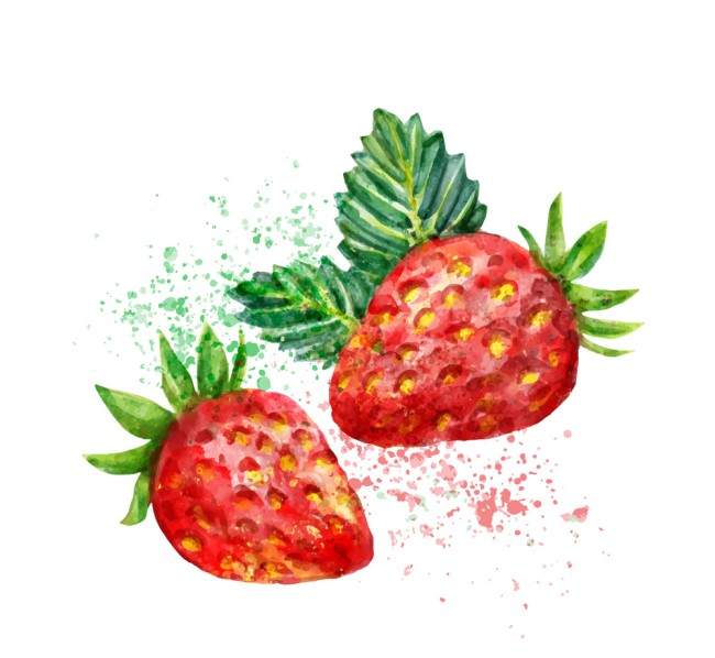 2个水彩绘草莓矢量素材素材中国网精选
