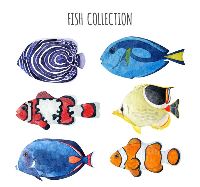 6款水彩绘鱼类设计矢量素材16图库网精选