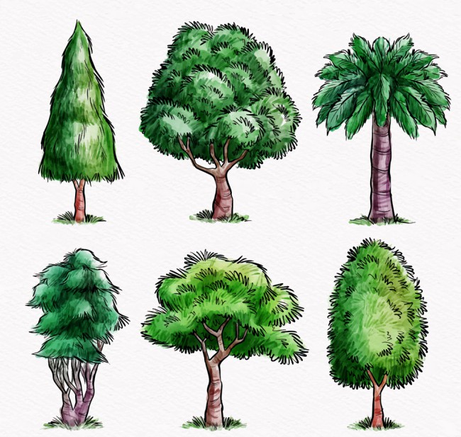 6款彩绘茂盛树木矢量素材16素材网精选