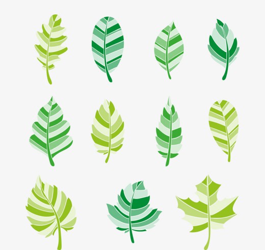 11款绿色树叶矢量素材16图库网精选