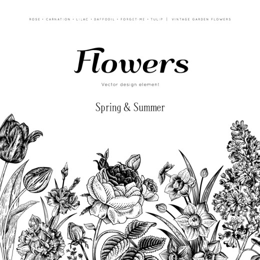 黑色手绘花卉背景矢量素材16设计网