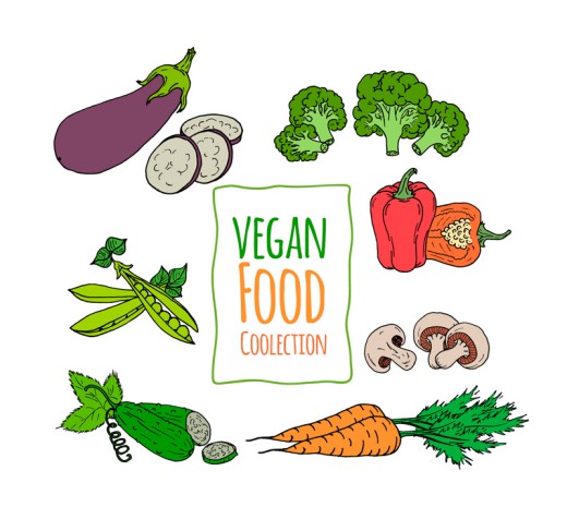 7款彩绘素食蔬菜矢量素材16图库网精选