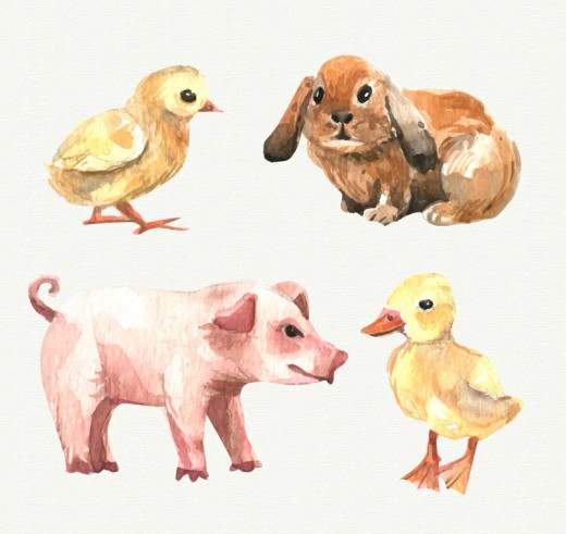 4款水彩绘农场动物矢量素材16设计网精选