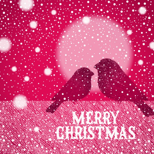 雪中的鸟圣诞贺卡矢量图素材中国网精选