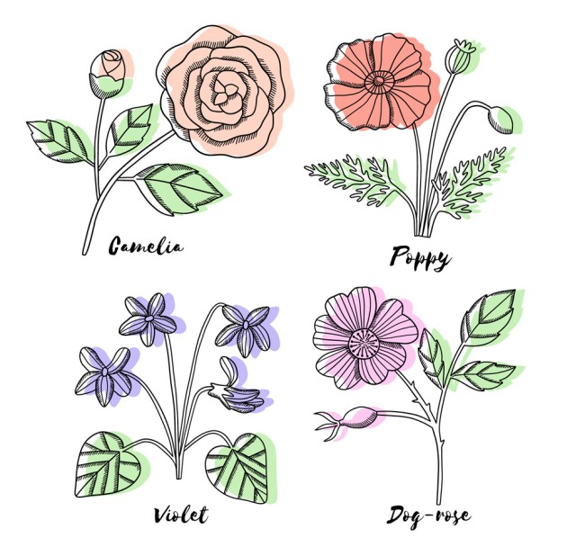 4款彩绘带名字花卉矢量素材16素材网精选