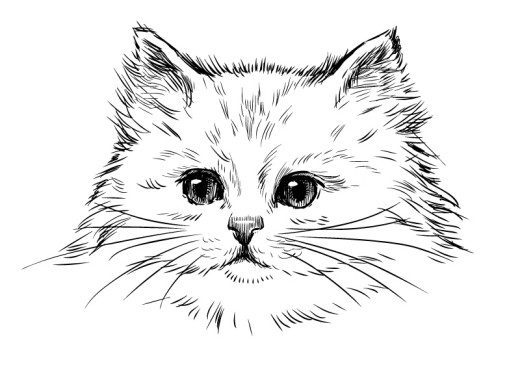 手绘白色波斯猫矢量素材16素材网精选